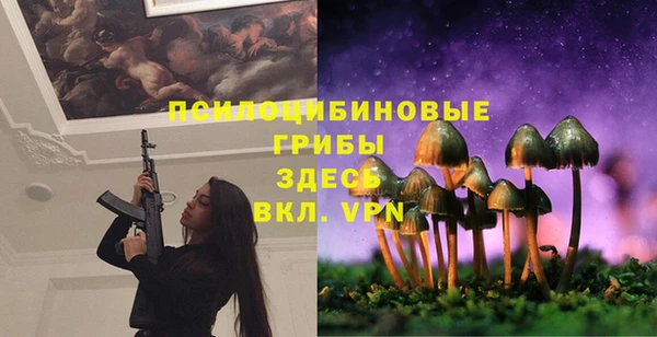 PSILOCYBIN Алексеевка
