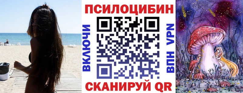 МЕГА как зайти Тутаев нарко площадка клад наркотики Псилоцибиновые грибы GOLDEN TEACHER
